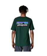 38504|CASG|3