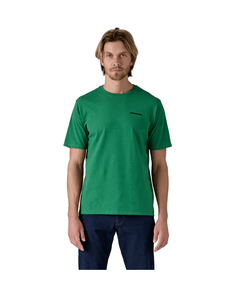 38504|POHL|2
