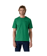 38504|POHL|2