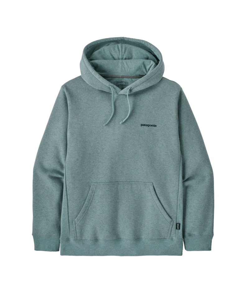 39665|BLSG|2