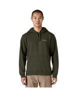 39665|BSNG|2