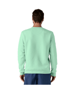 39667|RNSG|3