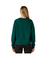 42171|CASG|3