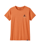 45390|CMLX|2