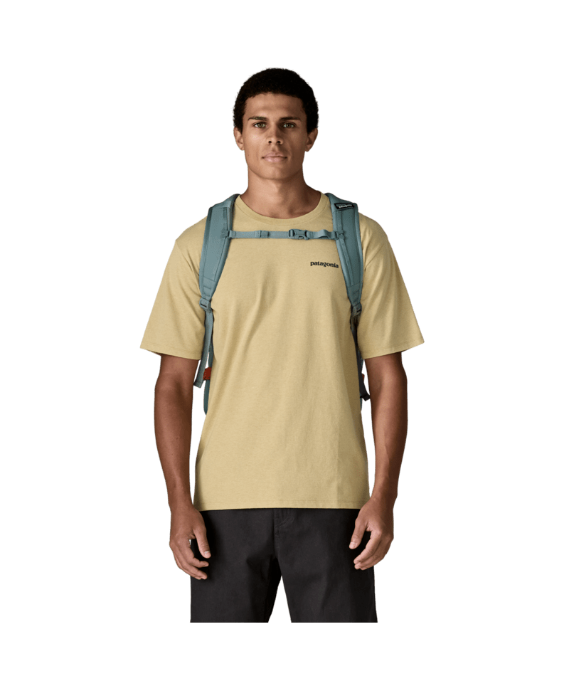 47929|BLSG|3