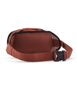 48580|DVL|2