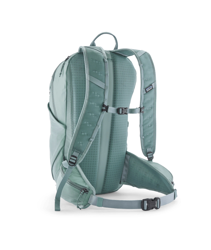48906|BLSG|2
