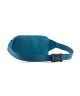 49448|SMBE|2