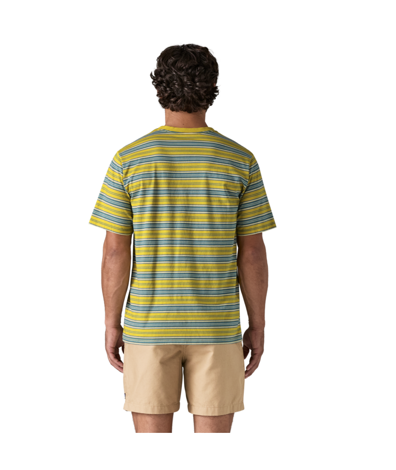 53255|SMBL|3