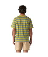 53255|SMBL|3