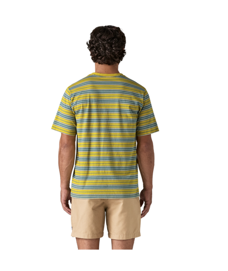 53255|SMBL|3