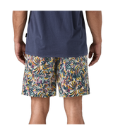 58035|WBTI|3
