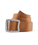 59194|CIBN