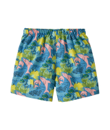 60279|AMBL|2
