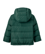60494|CASG|2