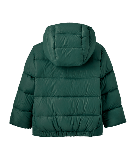 60494|CASG|2