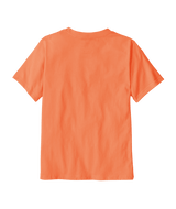 62148|PCHS|2