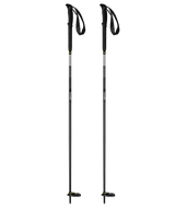 GRIVEL - Ski Tour