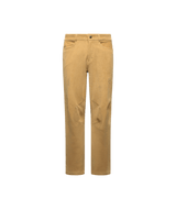 ZACP100|N20N20