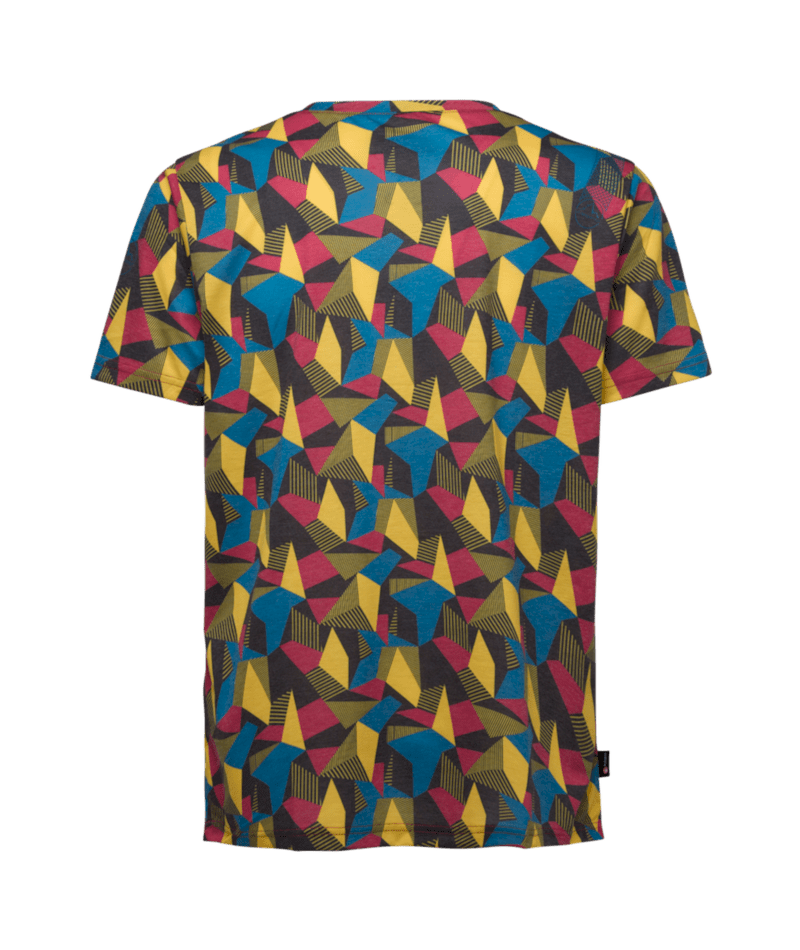 ZACT137|P09Y00|2