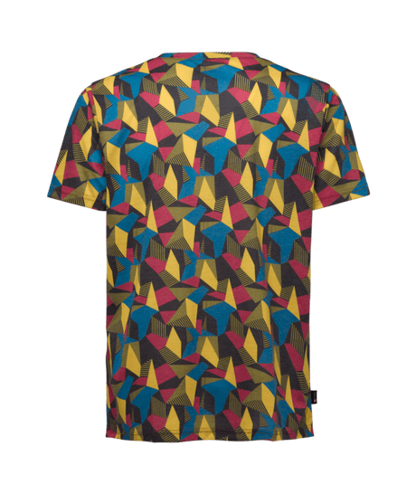 ZACT137|P09Y00|2