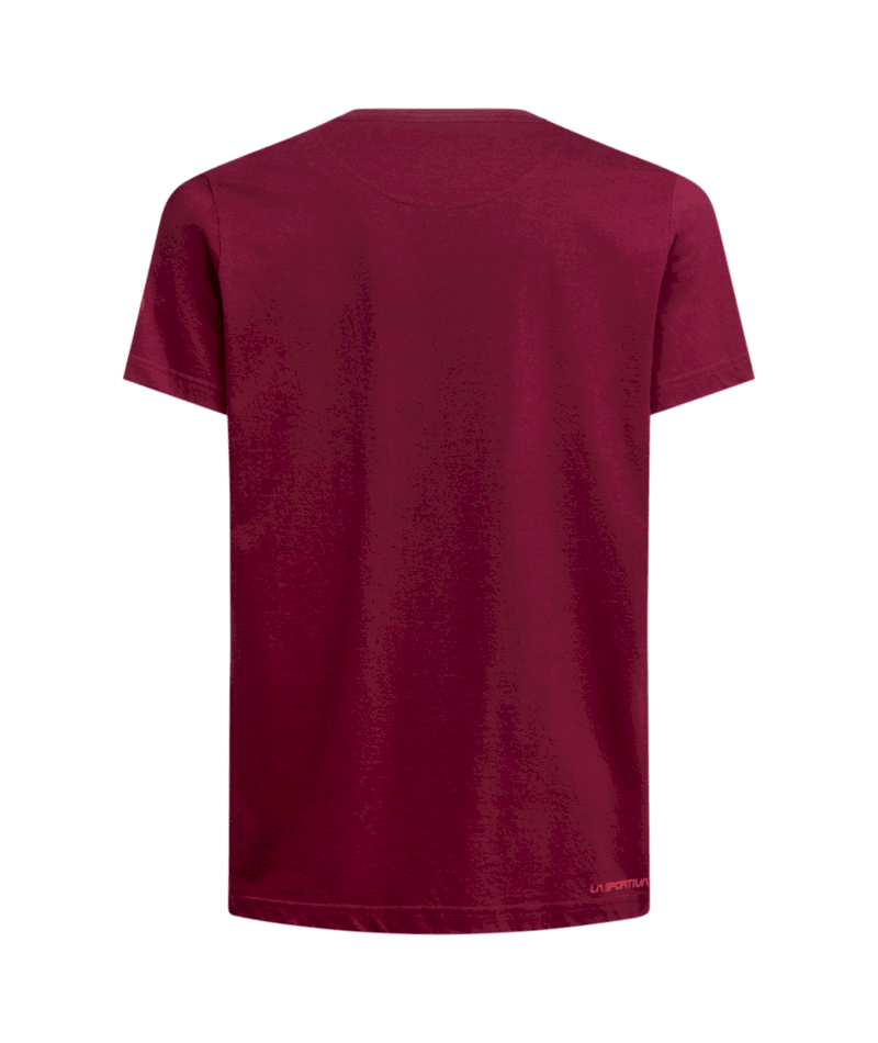 ZACT204|R25R25|2