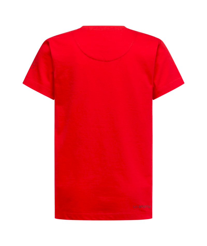 ZACT209|R24R24|2