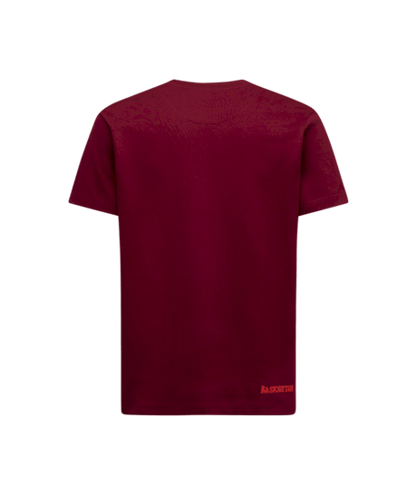 ZACT244|R25R24|2