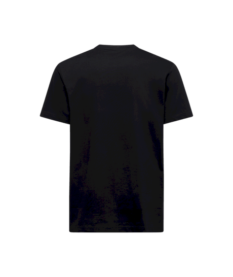 ZACT252|K00Y00|2