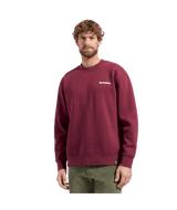 ZACW043|R25W04|3