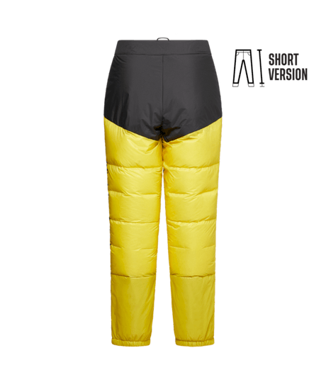 ZAMP05501|Y00K00|2