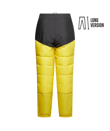 ZAMP05502|Y00K00|2