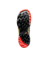 ZFRS066|K00Y00|2