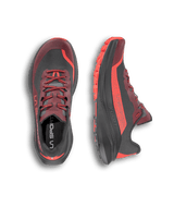 ZFRS106|G19R24|3