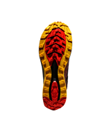 ZFRS113|K00Y00|2