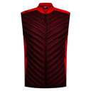 ZARV010|R25R24