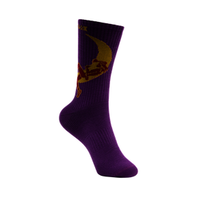 La Sportiva - Climbing on the Moon Socks