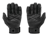 K53-N-CORDEX-PLUS-view-3