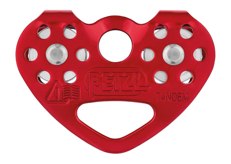 P21-TANDEM