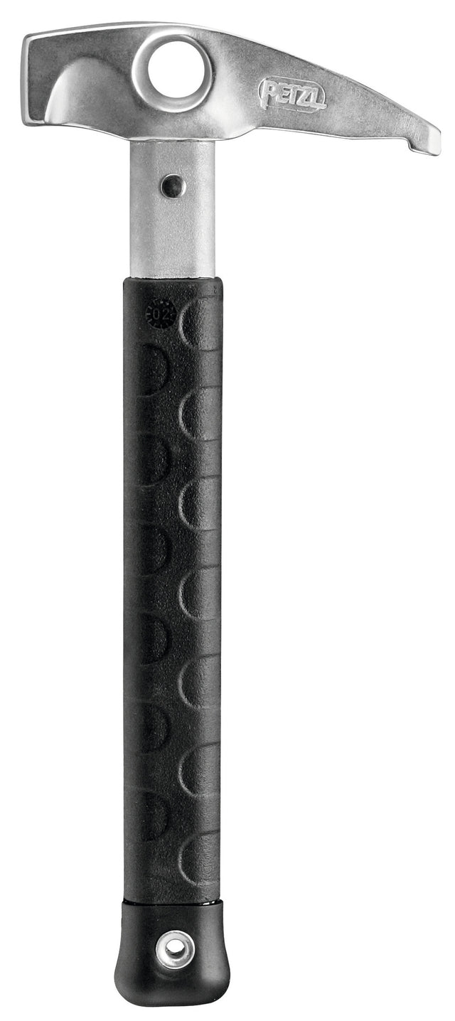 P27-BONGO
