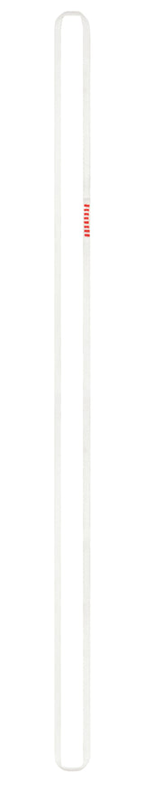 G006AA01-PUR-ANNEAU-120
