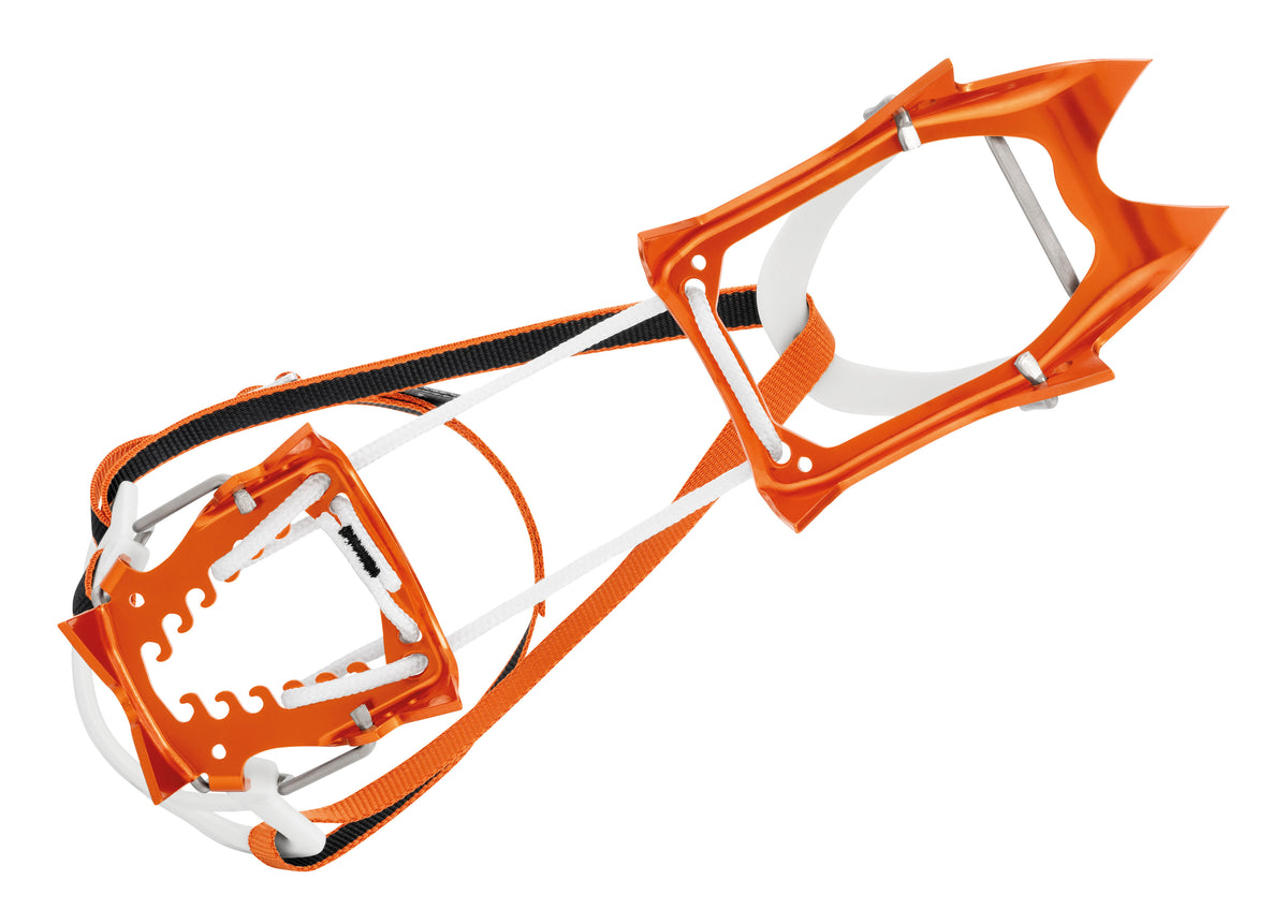 U004BA00-LEOPARD-FL-focus-3