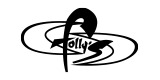 FOLLY'S logo