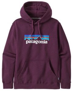 Patagonia p6 logo uprisal hoody uomo